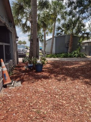 Lone Cabbage Fish Camp by null