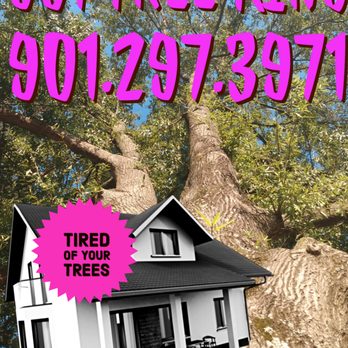 901 Tree King - Tree Services Near Me - Memphis, Tennessee 901 Tree King - Tree Services Near Me - Memphis, Tennessee
