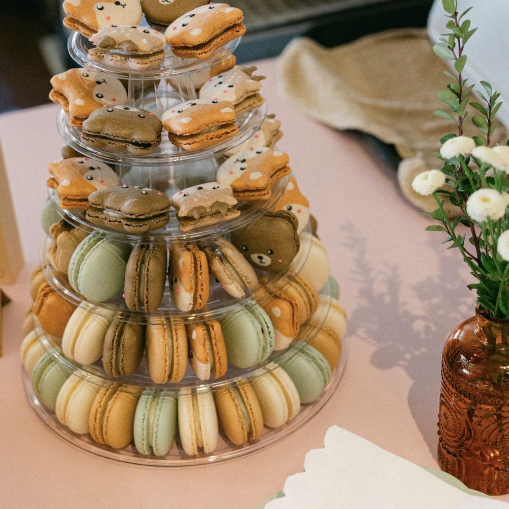 Aki Bakes - Macarons to match my Baby shower theme- Woodland - Desserts Near Me