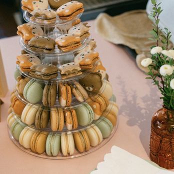 Aki Bakes - Macarons to match my Baby shower theme- Woodland - Desserts Near Me