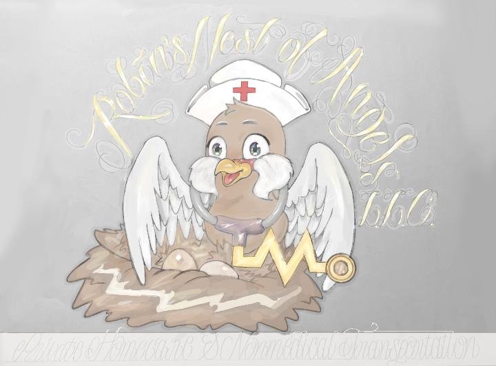 Robins Nest of Angels - home care agency in Charlotte, NC