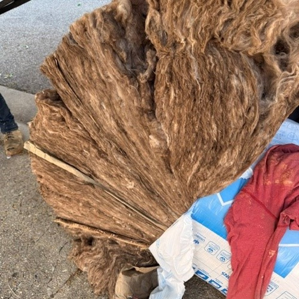 Senate Termite & Pest Control - Pest Control Near Me - Gaithersburg, Maryland Senate Termite & Pest Control - Pest Control Near Me - Gaithersburg, Maryland