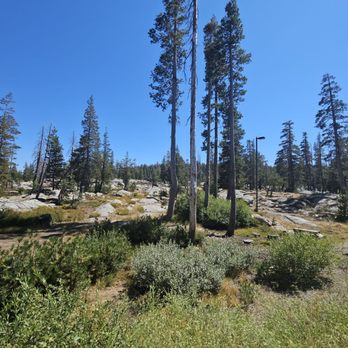 Donner Summit Eastbound Rest Area - 8-25-24. Some scenery - Rest Stops Near Me - Soda Springs, California Donner Summit Eastbound Rest Area - 8-25-24. Some scenery - Rest Stops Near Me - Soda Springs, California