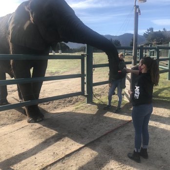 Vision Quest Ranch - Breakfast with Butch - Bed & Breakfast Near Me - Salinas, California