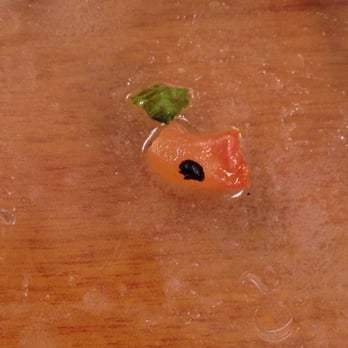 Sergio's Restaurant - Bug found in skinny girl flat bread sandwich. I guess it happens often because the manager didn't even apologize. - Breakfast & Brunch Near Me - Miami, Florida