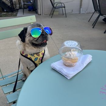 Frydae - Outdoor Patio - Ice Cream & Frozen Yogurt Near Me - Marion, Iowa