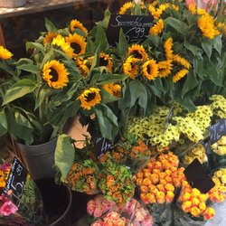 Florali