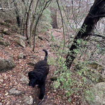 Red Bud Dog Park - Dog Parks Near Me - Austin, Texas Red Bud Dog Park - Dog Parks Near Me - Austin, Texas