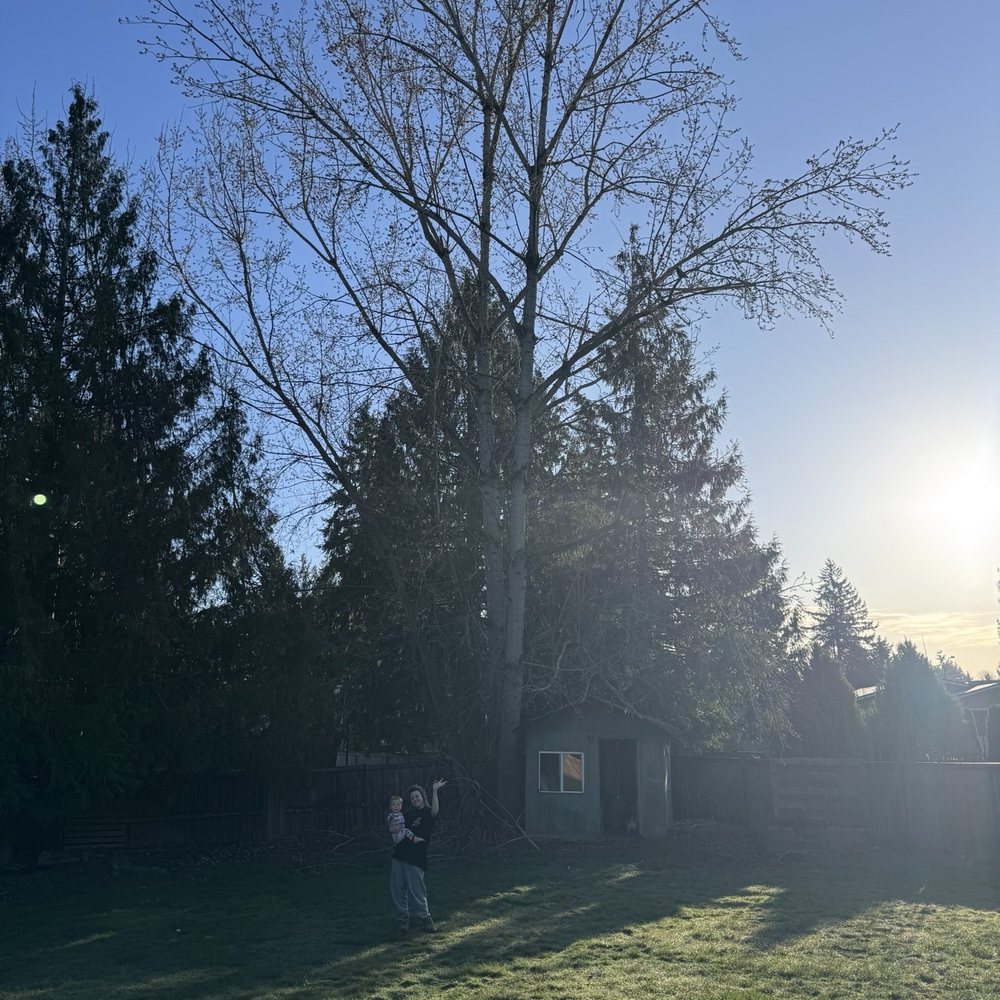 Ablaze Tree Pros - Tree Services Near Me - Puyallup, Washington Ablaze Tree Pros - Tree Services Near Me - Puyallup, Washington