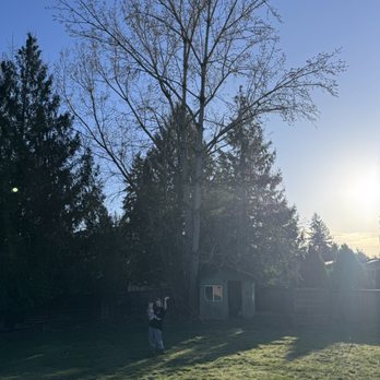 Ablaze Tree Pros - Tree Services Near Me - Puyallup, Washington