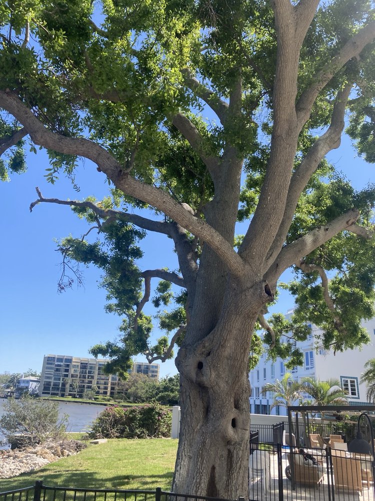 Brookdale Bayshore - home care agency in Tampa, FL