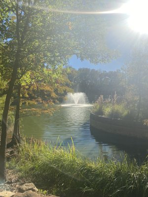 Clark Gardens by null