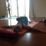 Photo of Quest for Balance Wellness