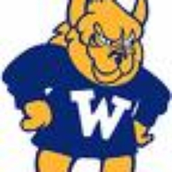 Webster University - From Their Website - The Webster Gorlock