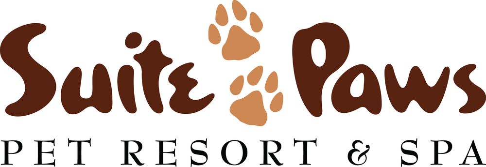 Suite Paws Pet Resort & Spa - pet boarding facility in Milford, OH