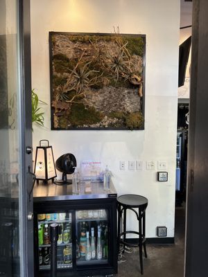Mensho Tokyo SF by null