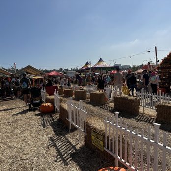 Shawn's Pumpkin Patch - Pumpkin Patches Near Me - Culver City , California