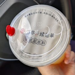 Shuyi Tealicious - Double the protection!