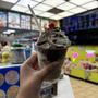 House of Ice Cream