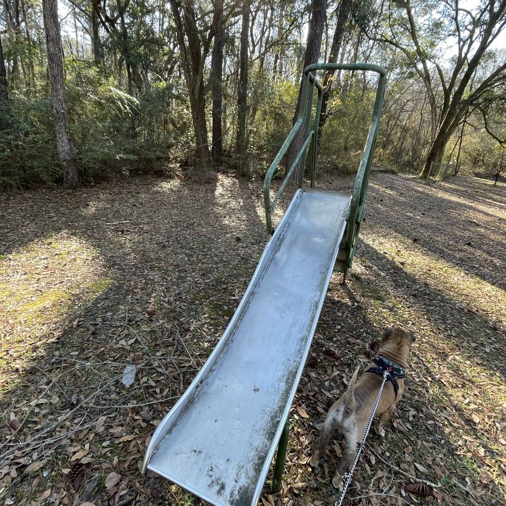 Lillian Ave Playground Park - Slide - Parks Near Me - Saraland, Alabama Lillian Ave Playground Park - Slide - Parks Near Me - Saraland, Alabama