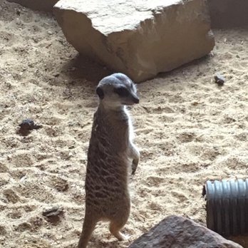 Tulsa Zoo - Zoos Near Me - Tulsa, Oklahoma