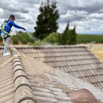 Delta Softwash - Roof being treated during a softwash service. - Pressure Washers Near Me - Lodi, California Delta Softwash - Roof being treated during a softwash service. - Pressure Washers Near Me - Lodi, California