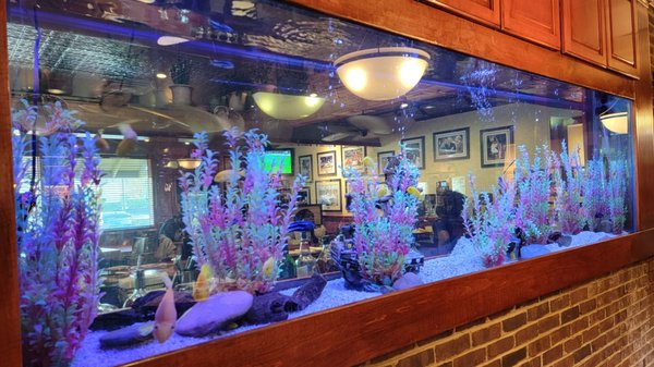 Cheddar's Scratch Kitchen by null