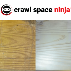 Crawl Space Ninja - A zoomed in shot to show how soda blasting physical destroys mold and rejuvenates wood surfaces in the crawl space.