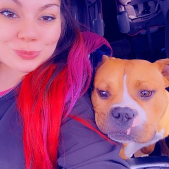Best Pet Care - Pet Boarding Near Me - Williamston, Michigan Best Pet Care - Pet Boarding Near Me - Williamston, Michigan