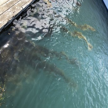 Center For Alaskan Coastal Studies - Tours Near Me - Homer, Alaska Center For Alaskan Coastal Studies - Tours Near Me - Homer, Alaska