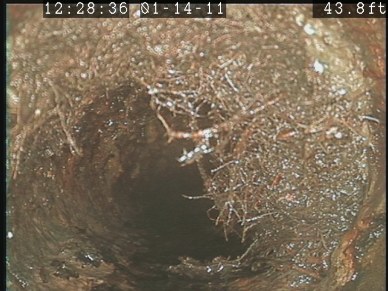 Slide of Tischbein Company