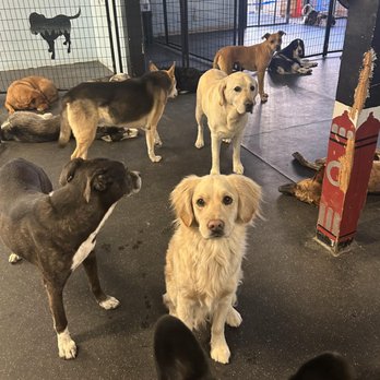 Paws Plaza - Pet Groomers Near Me - Santa Fe, New Mexico