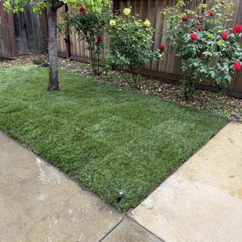 Arellano Landscaping - Sod installs - Fences & Gates Near Me Arellano Landscaping - Sod installs - Fences & Gates Near Me