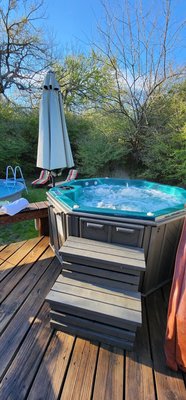 Savannah's Meadow by null