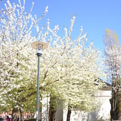 Schous Plass