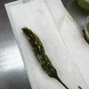 Alvaro's Mexican Food gift card