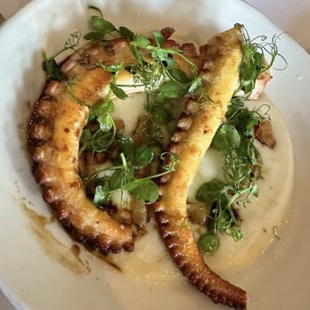 Anjelica's Restaurant - Octopus sun choke special - Italian Near Me - Sea Bright, New Jersey