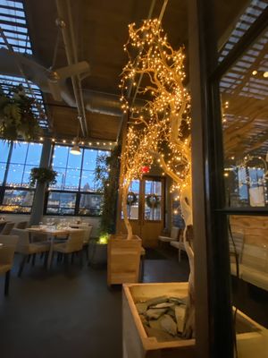 Terrain Cafe by null