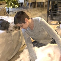 That Reiki Girl - Bella the Yorkie and Koda the husky