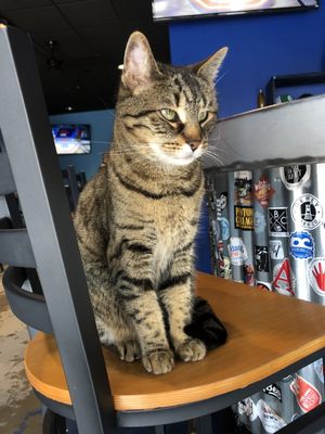 2SP Brewing Company by null