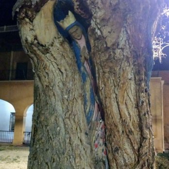 AbqTours - Hand carved and hand painted figure in an old tree that is supposedly haunted. - Historical Tours Near Me - Albuquerque, New Mexico