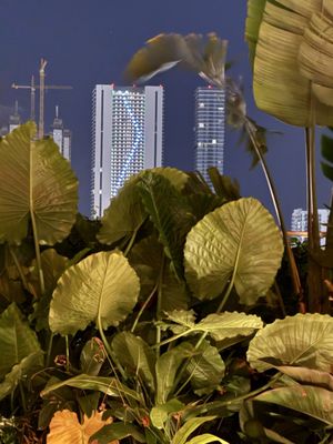 La Ferneteria (Rooftop Miami) by null