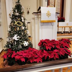 Williamsburg United Methodist Church - Christmas at WUMC