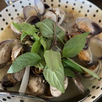Amazing Basil - Clam special - Asian Fusion Near Me - Fremont, California Amazing Basil - Clam special - Asian Fusion Near Me - Fremont, California
