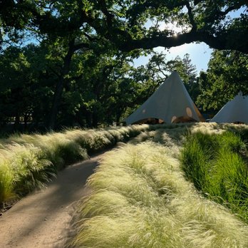 Chandon - Walking through the grasses to our table! - Wineries Near Me - Yountville, California Chandon - Walking through the grasses to our table! - Wineries Near Me - Yountville, California
