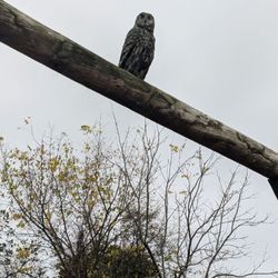 Town of Lockport Nature Trail