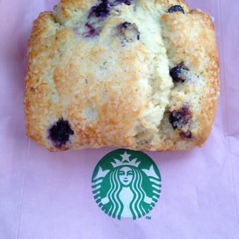 Starbucks - A huge blueberry scone - Coffee & Tea Near Me - Kingwood, Texas Starbucks - A huge blueberry scone - Coffee & Tea Near Me - Kingwood, Texas