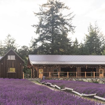 Bilston Creek Farm - Lavender field in July - Farms Near Me - Victoria, British Columbia Bilston Creek Farm - Lavender field in July - Farms Near Me - Victoria, British Columbia