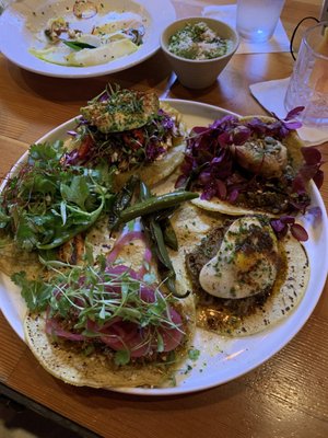 Pixán Taqueria & Cantina by null