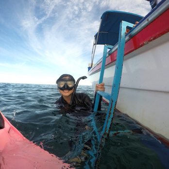 La Paz VIP Tours - Snorkeling Near Me - La Paz, BCS La Paz VIP Tours - Snorkeling Near Me - La Paz, BCS
